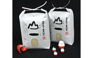 【ふるさと納税】22-A会津天のつぶ10kg(5kg×2袋・令和4年産米)