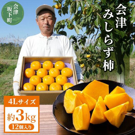 【ふるさと納税】 【予約開始】 柿 会津みしらず柿 4Lサイズ 12個入り 約3kg フルーツ 果物 ギフト 渋柿 会津 伊藤果樹園 ※2024年11月頃より順次発送予定 23-Aのサムネイル