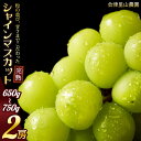 【ふるさと納税】【予約開始】 完熟シャインマスカット 650~750g 2房 (会津里山農園) 47-B| 福島 フルーツ くだもの 果物 ぶどう 葡萄 ブドウ シャインマスカット 皮ごと 種なし 先行予約 夏 秋 ギフト お取り寄せ おとりよせ ※2025年10月上旬頃~中旬頃に順次発送