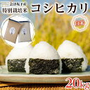 人気ランキング第24位「福島県会津坂下町」口コミ数「0件」評価「0」51-A　会津坂下産 特別栽培米　コシヒカリ20kg【白米】｜ 福島県産 米 お米 単一米 特別栽培 減農薬 真空パック 長期保存※着日指定不可