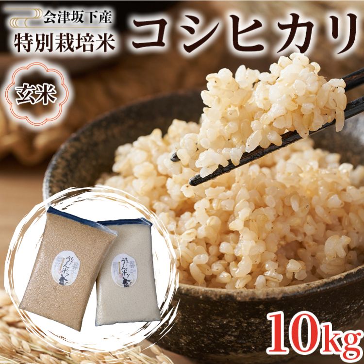 【ふるさと納税】51-D　会津坂下産 特別栽培米　コシヒカリ