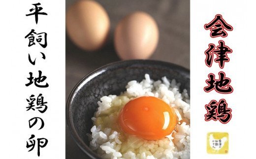 【ふるさと納税】33-B 平飼い会津地鶏の卵【定...の商品画像