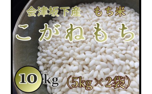 36-C　T.Farming　こがねもち（令和5年産米）会津坂下産もち米　10kg（5kg×2袋）｜ 福島県 会津坂下町発の「こがねもち」は、粘りとコシのある国産の単一米です。お赤飯やお餅、おこわに最適です。※沖縄・離島への配送不可