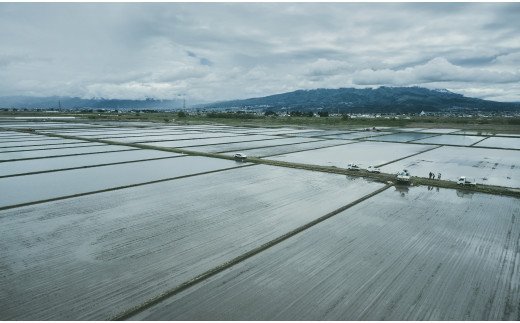 【ふるさと納税】36-C　T.Farming　こがねもち（令和5年産米）会津坂下産もち米　10kg（5kg×2袋）｜ 福島県 会津坂下町発の「こがねもち」は、粘りとコシのある国産の単一米です。お赤飯やお餅、おこわに最適です。※沖縄・離島への配送不可