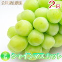 【ふるさと納税】【予約開始】 完熟シャインマスカット 650~750g 2房 (会津里山農園) 47-B| 福島 フルーツ くだもの 果物 ぶどう 葡萄 ブドウ シャインマスカット 皮ごと 種なし 先行予約 夏 秋 ギフト お取り寄せ おとりよせ ※2025年10月上旬頃~中旬頃に順次発送