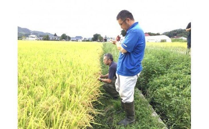 【ふるさと納税】3-I　藤川農産 会津娘「穣・片門」新酒（720ml）純米吟醸　〜会津坂下片門産　酒造好適米「夢の香」100％〜（化粧箱無し）※2023年12月中旬頃より順次発送予定※沖縄・離島への配送不可