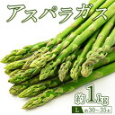【ふるさと納税】60-B アスパラガスLサイズ1kg(約30~35本)※2025年4月下旬~9月上旬頃に順次発送予定