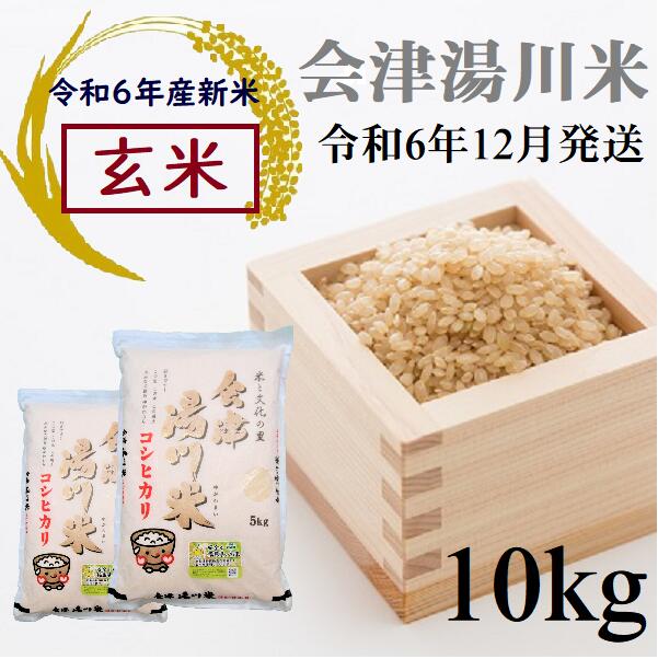 【ふるさと納税】令和6年産 新米 コシヒカリ 玄米 10kg