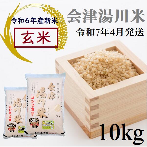 【ふるさと納税】令和6年産 新米 コシヒカリ 玄米 10kg
