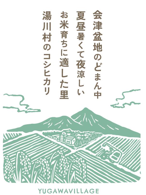 22位! 口コミ数「0件」評価「0」令和6年産 新米 特別栽培米　湯川村産コシヒカリ　10kg精米　令和7年2月発送