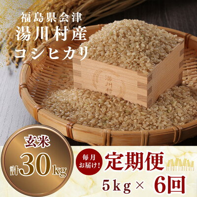 【ふるさと納税】【発送月固定定期便】湯川村産コシヒカリ 玄米5kg(R8.11・12・R9.1・2・3・4)全6回【4091453】