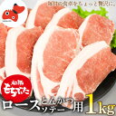 【ふるさと納税】ジューシー!　ブランド豚　「和豚もちぶた」ロースとんかつ・ソテー用1kg【配送不可地域：離島】【1370786】