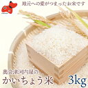 【ふるさと納税】【令和5年産】食味値80以上!会津・柳津産コシヒカリ「かいちょう米」3kg【1467320】