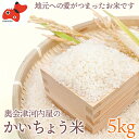 37位! 口コミ数「0件」評価「0」【令和5年産】食味値80以上!会津・柳津産コシヒカリ「かいちょう米」5kg(2kg、3kgセット)【1467323】