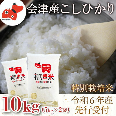 【令和6年産 先行予約 / 10月より順次発送】会津柳津産「柳津米」特別栽培米 10kg【1470595】