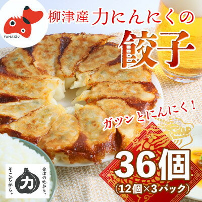 8位! 口コミ数「0件」評価「0」【ガツンとにんにく!】力にんにくを使った餃子【冷凍】　36個(12個×3パック)【配送不可地域：離島】【1510129】