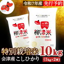 【ふるさと納税】【2026年3月下旬より順次発送】柳津産のおいしい特別栽培こしひかり「柳津米」【令和7年産先行予約】【1590766】