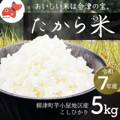 [令和7年産]奥会津のきれいな水で大切に育てた「たから米」[5kg]