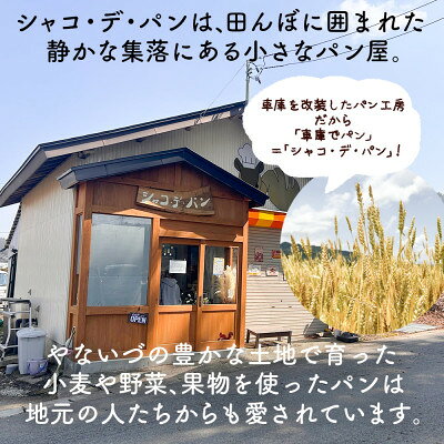 【ふるさと納税】シャコ・デ・パン 国産小麦のパンセット【冷凍】 (食パン ロール...