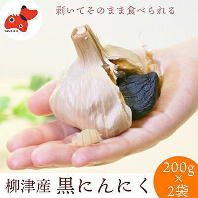 【ふるさと納税】会津・柳津 高品質高糖度の黒にんにく「ちからにんにく」2袋【1142576】