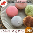 【ふるさと納税】世界No.1パティシエが作る さっくりぎっしり!保存料不使用の「とうのぼうマカロン」10個入り【配送不可地域:離島】【1460477】