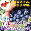 【ふるさと納税】【摘みたて冷凍】自然の中で育った冷凍ブルーベリー(500g×4パック)【配送不可地域:離島】【1362345】