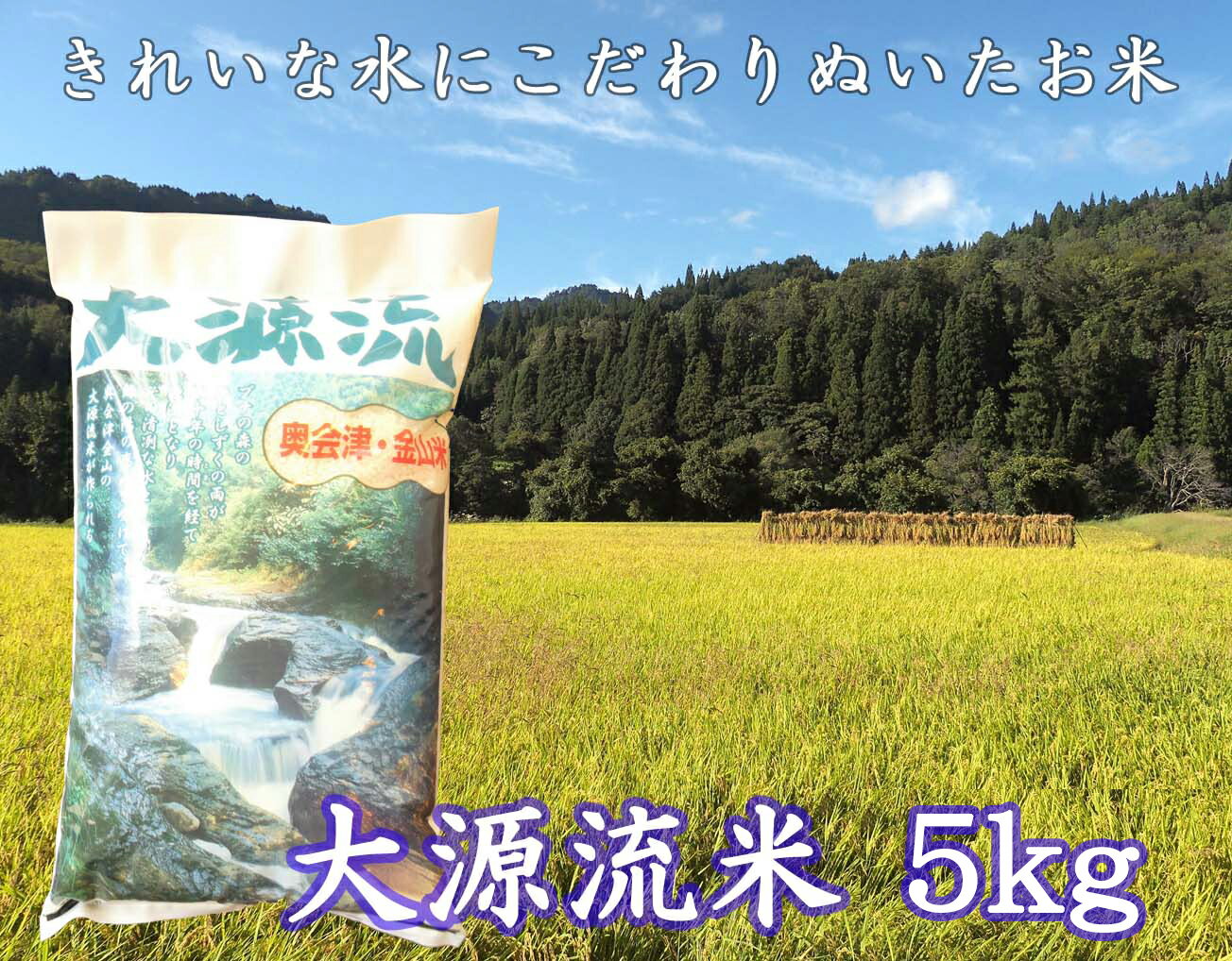 大源流米コシヒカリ5kg　福島県　金山町　コシヒカリ　5kg　減農薬　精米　白米