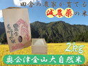 【ふるさと納税】【令和5年産】奥会津金山大自然米コシヒカリ2