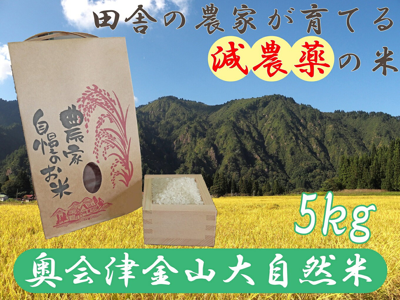 奥会津金山大自然米コシヒカリ5kg　福島県　金山町　コシヒカリ　5kg　減農薬　精米　白米