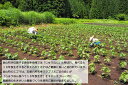 福島県金山町の画像2