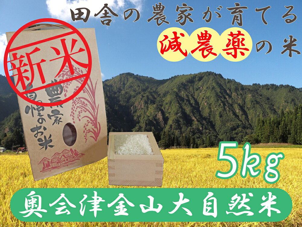 【ふるさと納税】【令和6年産新米】奥会津金山大自然米コシヒカリ5kg　10月下旬順次発送　予約　福島県　金山町　コシヒカリ　5kg　減農薬　精米　白米のサムネイル