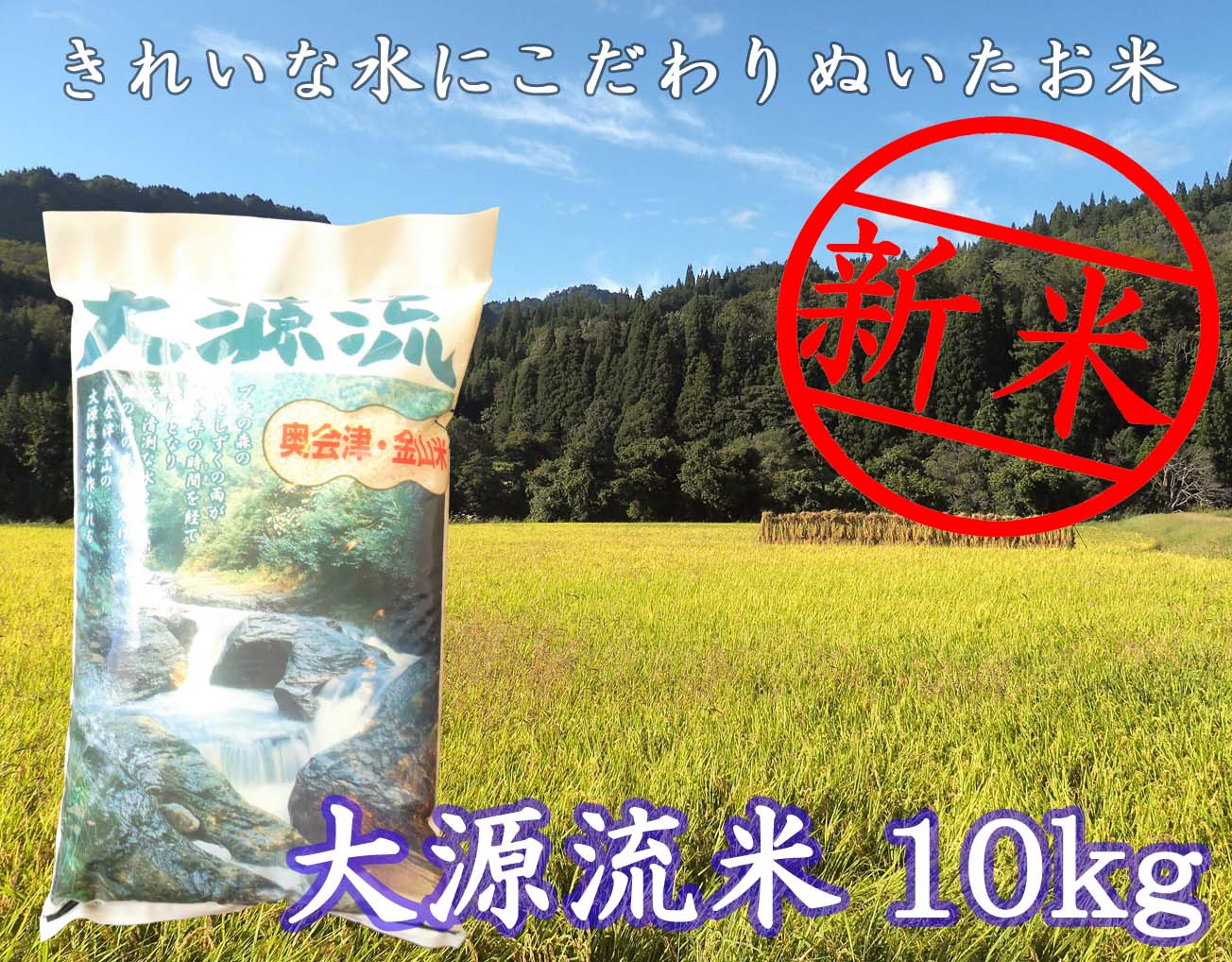 [令和7年産]大源流米コシヒカリ10kg 福島県 金山町 コシヒカリ 10kg 減農薬 精米 白米