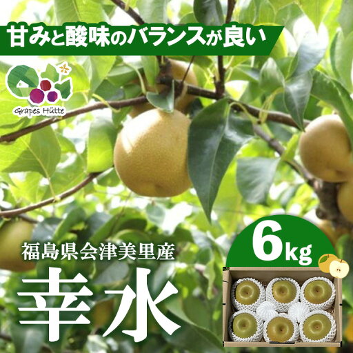 【ふるさと納税】【先行受付】会津の美味しい梨 幸水 約6kg(10玉~12玉)◇| 期間限定 梨 なし ナシ 果物 フルーツ 甘い ジューシー 果実 くだもの 国産 果実 会津美里町産 ※2025年8月下旬~9月上旬頃に順次発送予定 【ふるさと納税】【先行受付】会津の美味しい梨 幸水 約6kg(10玉~12玉)◇| 期間限定 梨 なし ナシ 果物 フルーツ 甘い ジューシー 果実 くだもの 国産 果実 会津美里町産 ※2025年8月下旬~9月上旬頃に順次発送予定