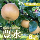 【ふるさと納税】【先行受付】会津の美味しい梨 豊水 約6kg
