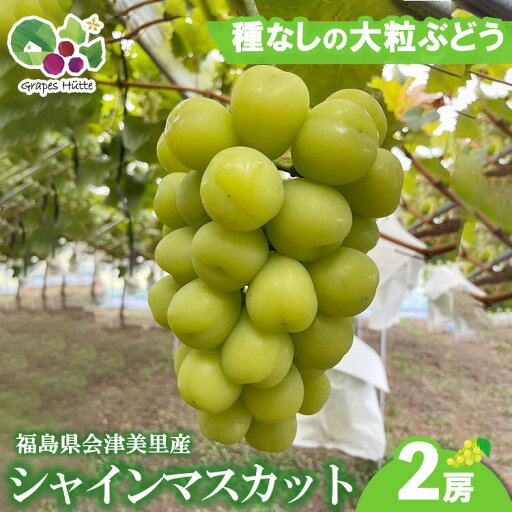【ふるさと納税】【先行受付】会津の美味しいぶどう シャインマスカット 1.2kg以上 2房 ◇| 期間限定 大粒 種なし 果物 フルーツ ぶどう ブドウ 葡萄 くだもの 国産 果実 会津美里町産 ※2025年10月上旬~10月下旬頃に順次発送予定 【ふるさと納税】【先行受付】会津の美味しいぶどう シャインマスカット 1.2kg以上 2房 ◇| 期間限定 大粒 種なし 果物 フルーツ ぶどう ブドウ 葡萄 くだもの 国産 果実 会津美里町産 ※2025年10月上旬~10月下旬頃に順次発送予定