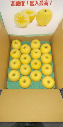 会津美里産　りんご（はるか）5kg　※2024年11月下旬〜12月中旬頃に順次発送予定