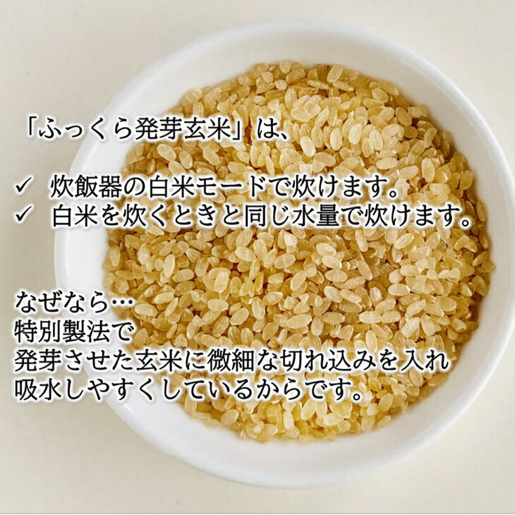 福島県会津美里町の画像3