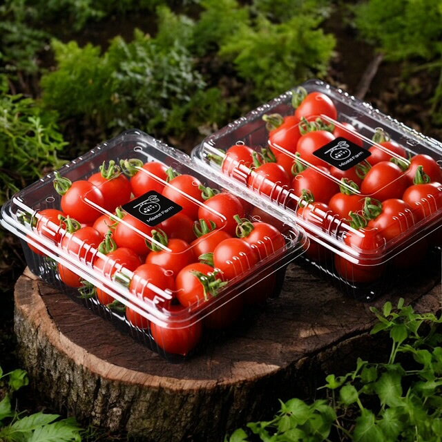 【ふるさと納税】【2年連続金賞受賞】 高糖度フルーツミニトマト1キロ ※2026年6月中旬頃より順次発送予定