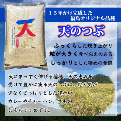 【ふるさと納税】＜令和5年産＞天のつぶ　精米10kg　一等米！　【07461-0006】