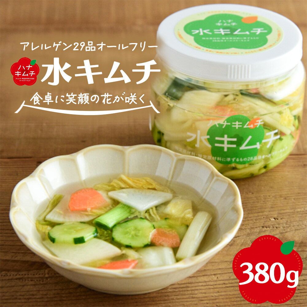 【ふるさと納税】ハナキムチ　アレルゲン29品目オールフリー　水キムチ 380g　【07461-0233】