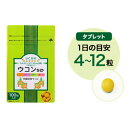 13位! 口コミ数「0件」評価「0」健康食品 ウコンS 33g（1粒330mg×100粒）　【美容・健康食品・クルクミン】