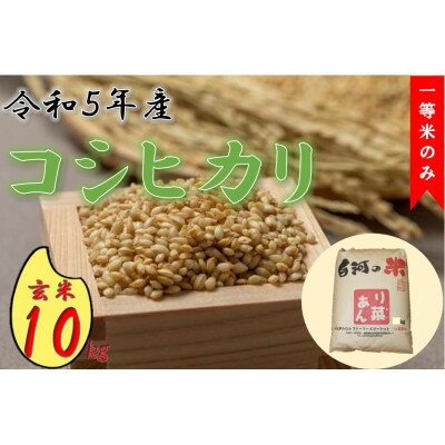 [一等米のみ]令和5年産コシヒカリ(玄米) 10kg