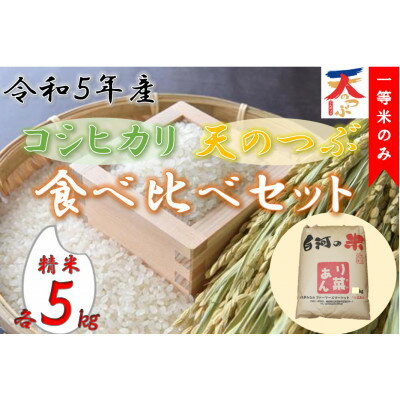 [一等米のみ]令和5年産コシヒカリ・天のつぶ食べ比べセット 計10kg(各5kg)