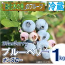 【ふるさと納税】【先行予約/冷蔵】ブルーベリー1kg(オンズロー)【配送不可地域:離島・沖縄県】【1608658】