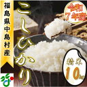 【ふるさと納税】【数量限定/令和7年産】中島村産『コシヒカリ』(精米)10kg【1633134】