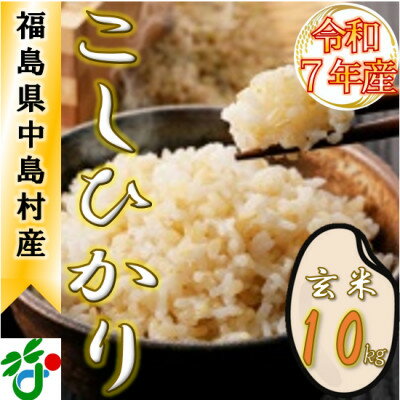 [数量限定/令和7年産]中島村産『コシヒカリ』(玄米)10kg