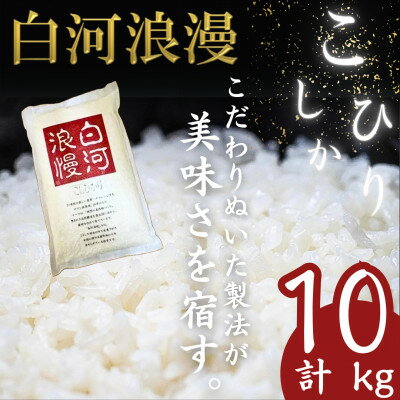 【ふるさと納税】【令和5年産】白河浪慢こしひかり　10kg【1320327】