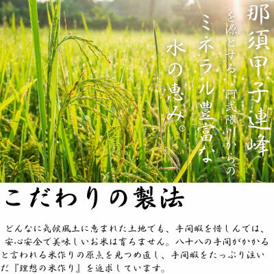 【ふるさと納税】【令和5年産】白河浪慢ひとめぼれ、こしひかりセット　計10kg　精米【1320338】