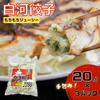 26位! 口コミ数「0件」評価「0」モチモチジューシーな白河餃子20個入り×3袋セット【岡崎農園の定番製品】【配送不可地域：離島】【1363016】