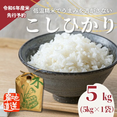 【ふるさと納税】【先行予約】令和6年産　こしひかり(矢吹町三神地区産)5kg【1376955】